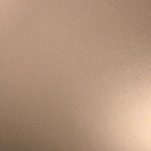 Meet your Posher, Hayden